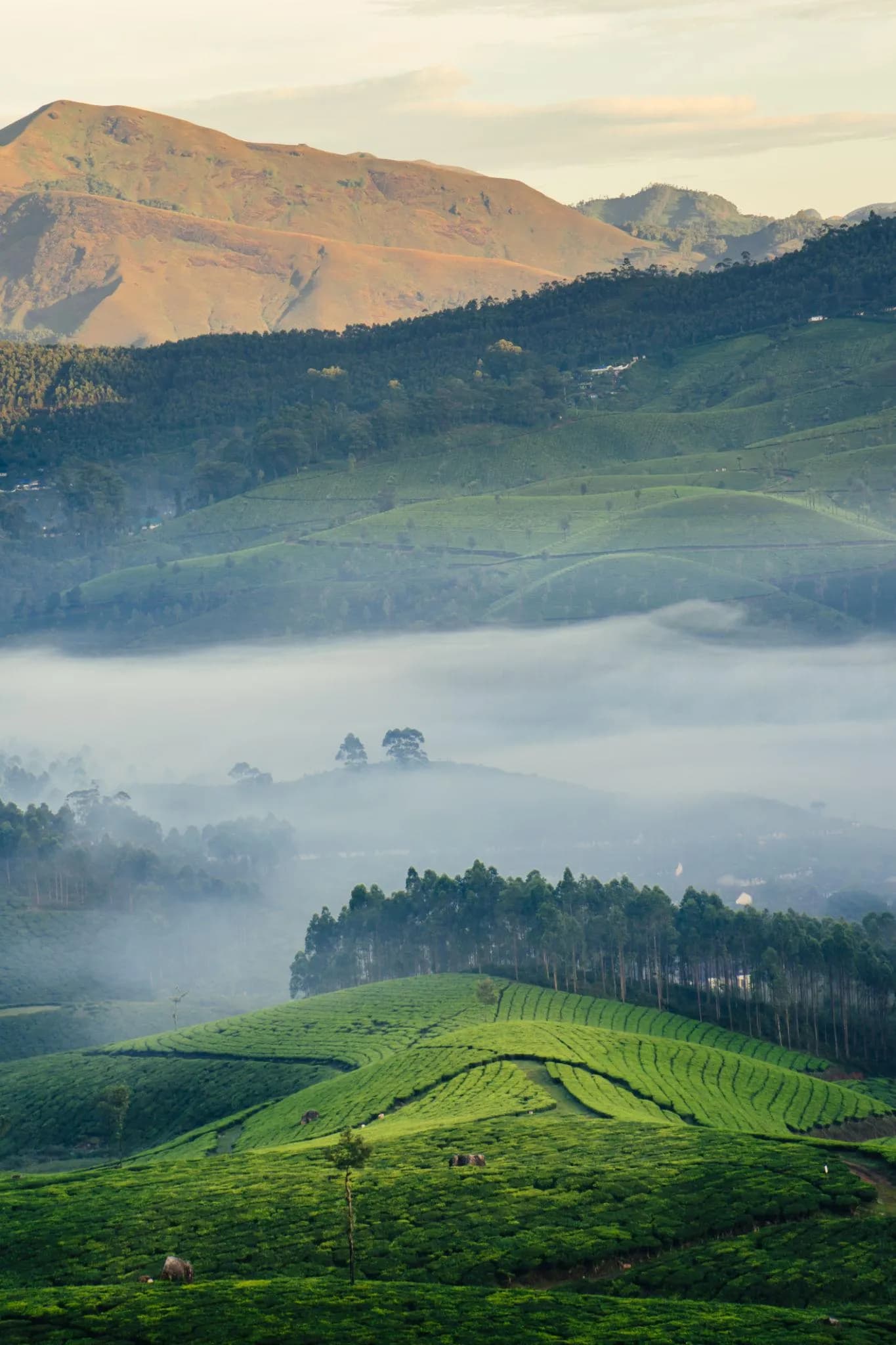 Discovering the Charms Beyond God's Own Country: Best Places to Visit Near Kerala